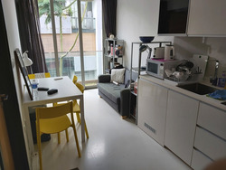 Loft @ Stevens (D10), Apartment #503227151